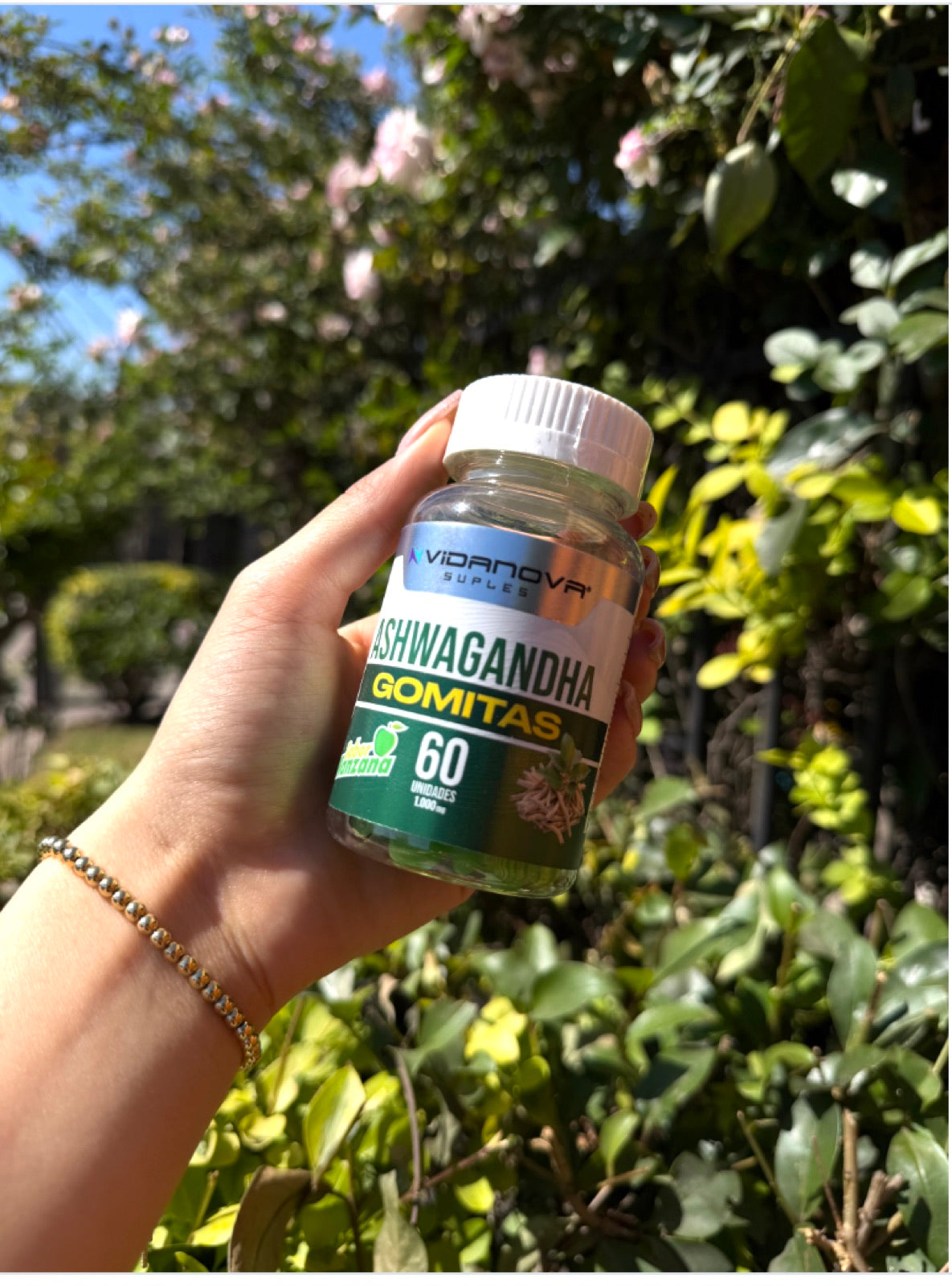 Ashwagandha KSM-66